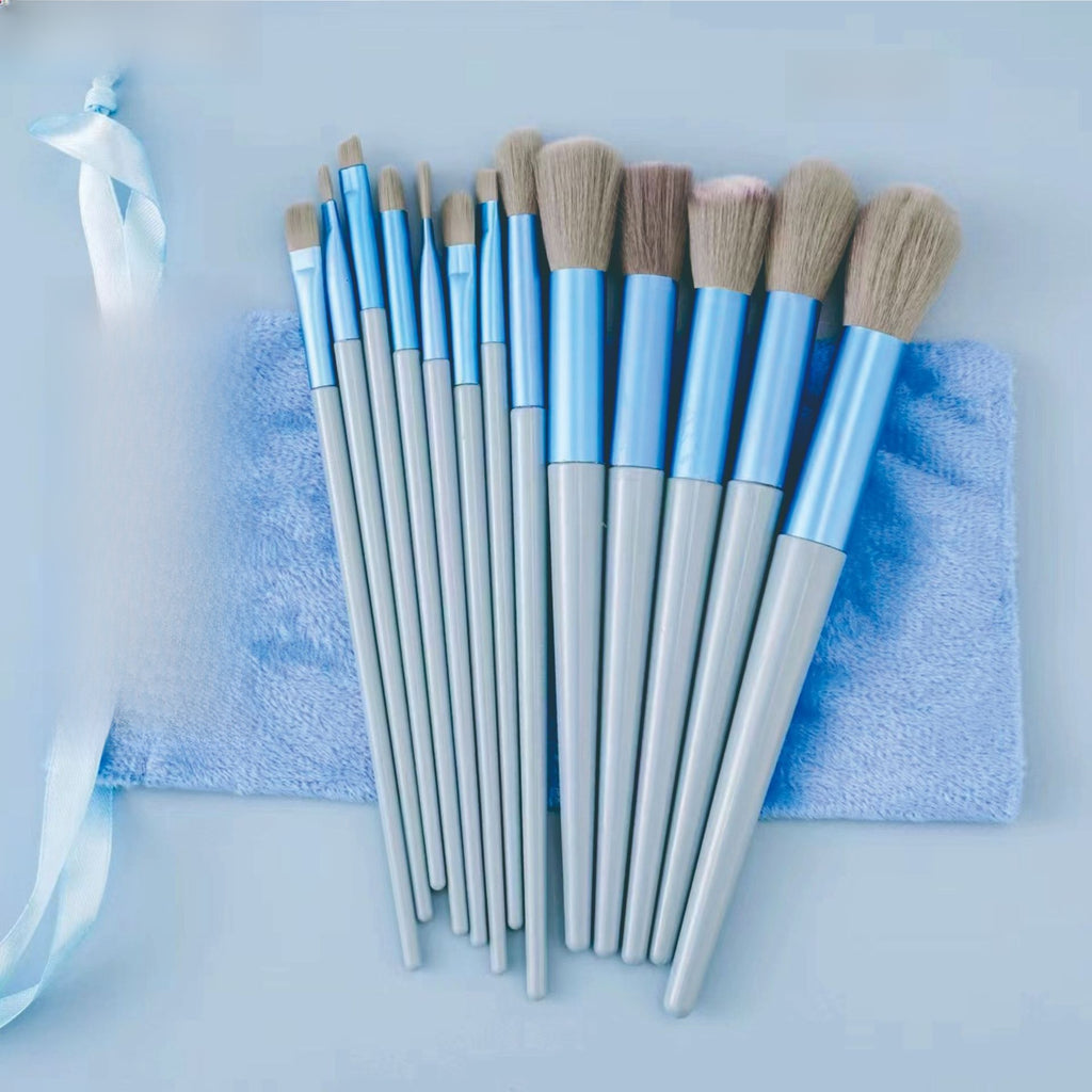 Professional 13-Piece Makeup Brush Set with Velvet Pouch