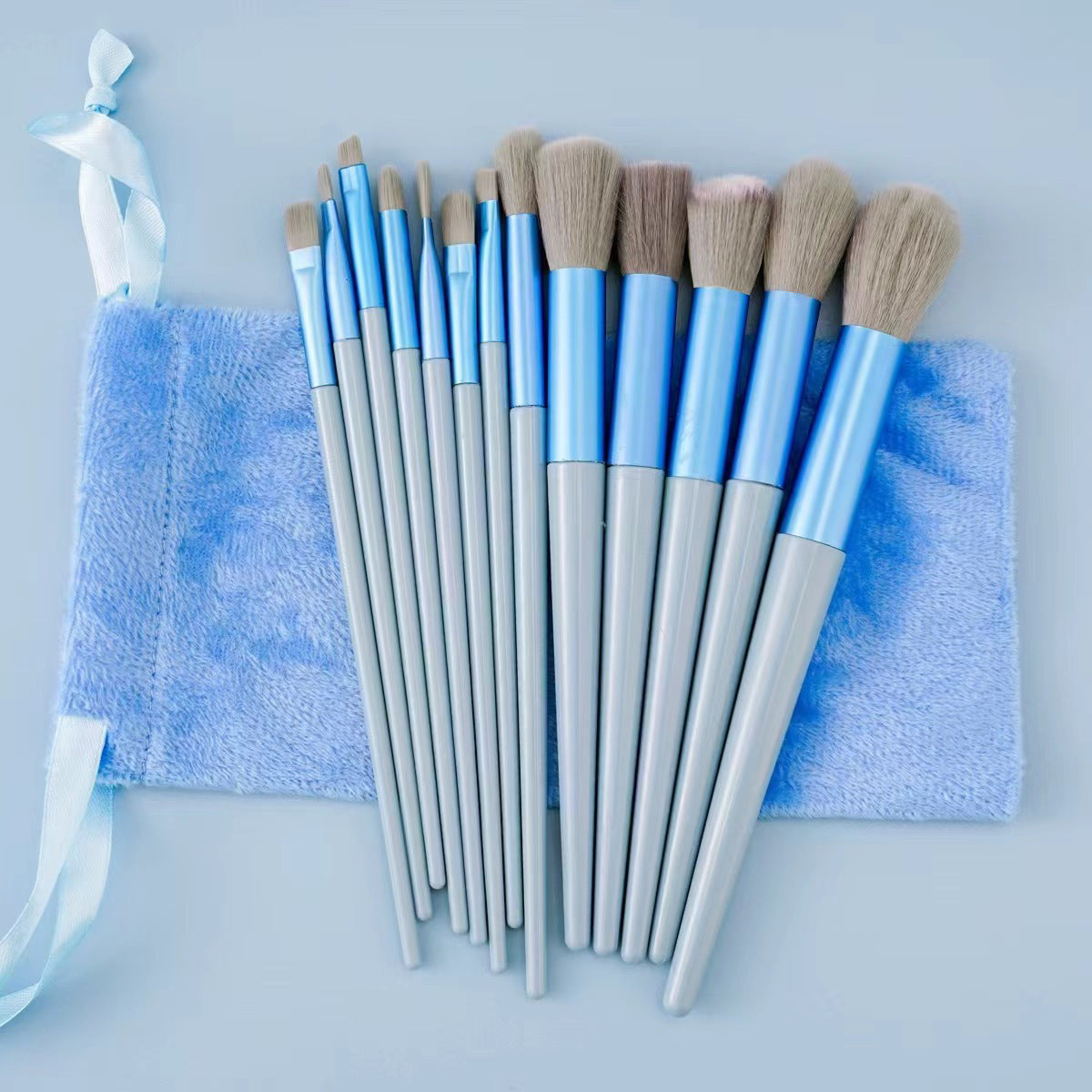 Professional 13-Piece Makeup Brush Set with Velvet Pouch